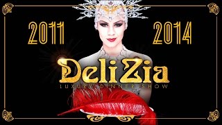 *DeliZia*  -  dinner show 2011/14  - Aerial Performance Cabaret
