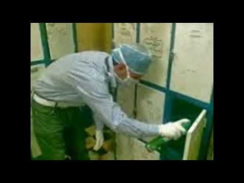 شركة الصفرات لرش المبيدات بالرياض