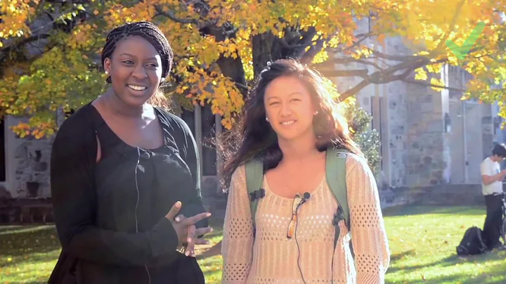 What is the Division of Student Affairs?