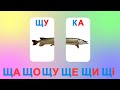 Склади з буквою Щ Читаємо склади Читаємо слова по складах Склади з буквою Щ Читаємо склади Читаємо слова по складах