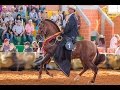 Cómo es el Adiestramiento del Caballo Criollo English Subtitles - TvAgro por Juan Gonzalo Angel