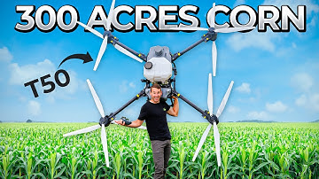 Corn Fungicide Season | How Efficient are they REALLY?