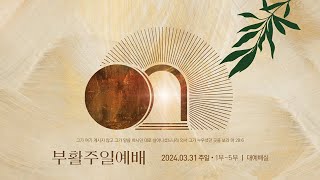 20240331 행 5:7~11 사도행전강해18 "유일한 소망" 무학교회 주일3부예배 윤동일목사