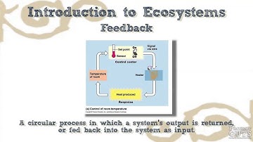 Module 3- Introduction to Ecosystems Module