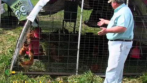Pasture Raised Broilers Part 1 Mobile Coops
