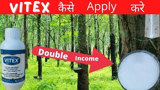 Amazing Asia Natural Rubber Farm - Rubber Vitex Apply And Rubber TreeTapping