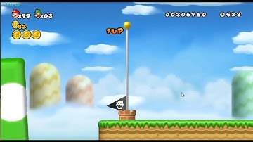 Top 5 weirdest New Super Mario Bros. Wii hacking side effects.