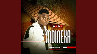 Ukufela Othandweni feat Shenge Wasehlalankosi radio Edit