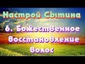 "Божественное восстановление волос" настрой Сытина