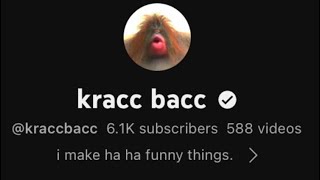 Kracc bacc’s main channel is back