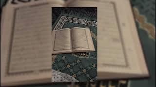 rafeeq al darb (speed up) | mohammed al hisayan | halal nasheeds