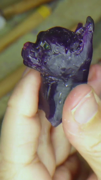 Find your passion project | Wax Carving Series | Episode 1 #chihuahua