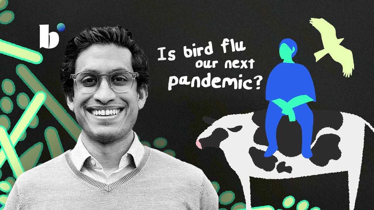Should we be worried the bird flu will spark a new pandemic? - YouTube