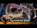 Monster shad de savage gear  une efficacit monstre 