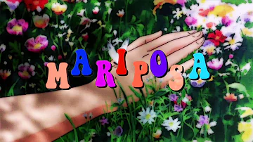 Mariposa | peach tree rascals | 1 Hour Loop