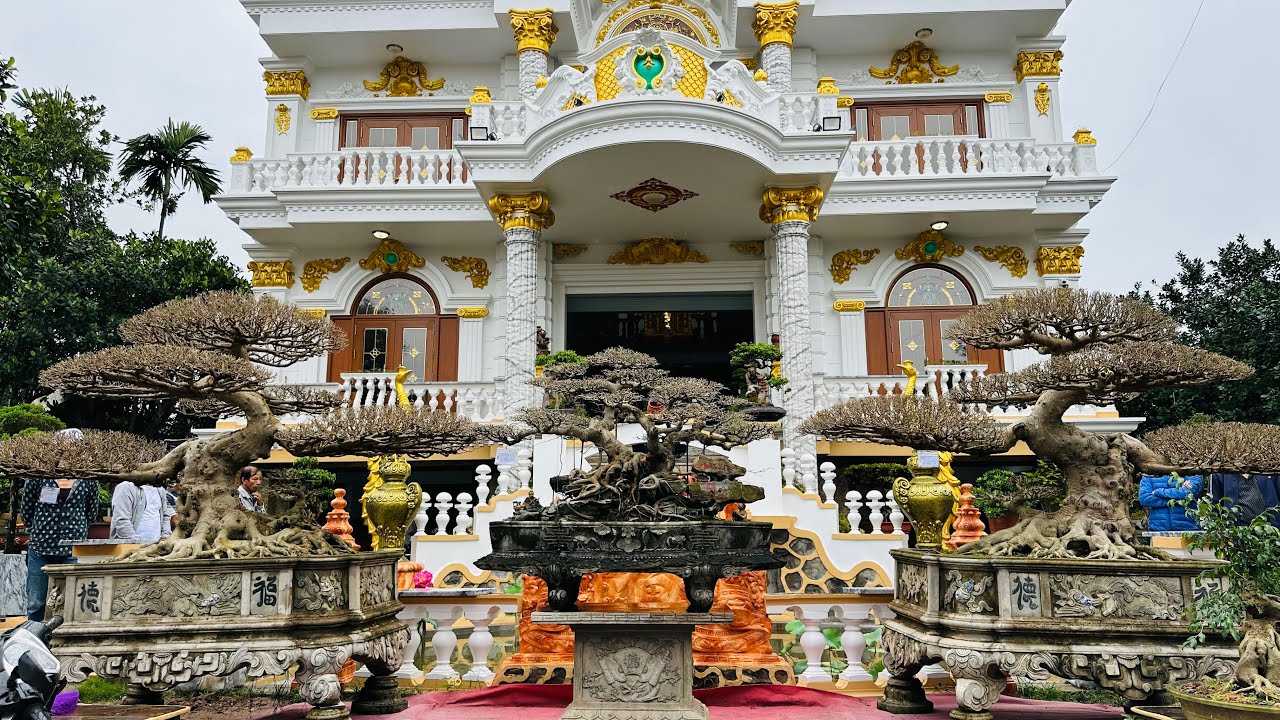 Khai Trương Siêu Thị Cây Cảnh, Bonsai Đầu Tiên Tại Việt Nam