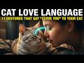 11 Gestures That Say 'I Love You' to your Cat (And 98% of Owners Don't Do Them)