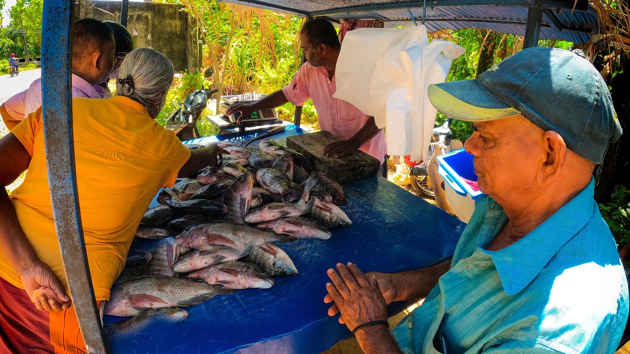 Amazing !! Fish Cutting Live Fresh Water Tilapia Fish Market Trading in