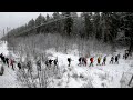 #ГруппаДмитриева - Лыжный забег под Шатурой