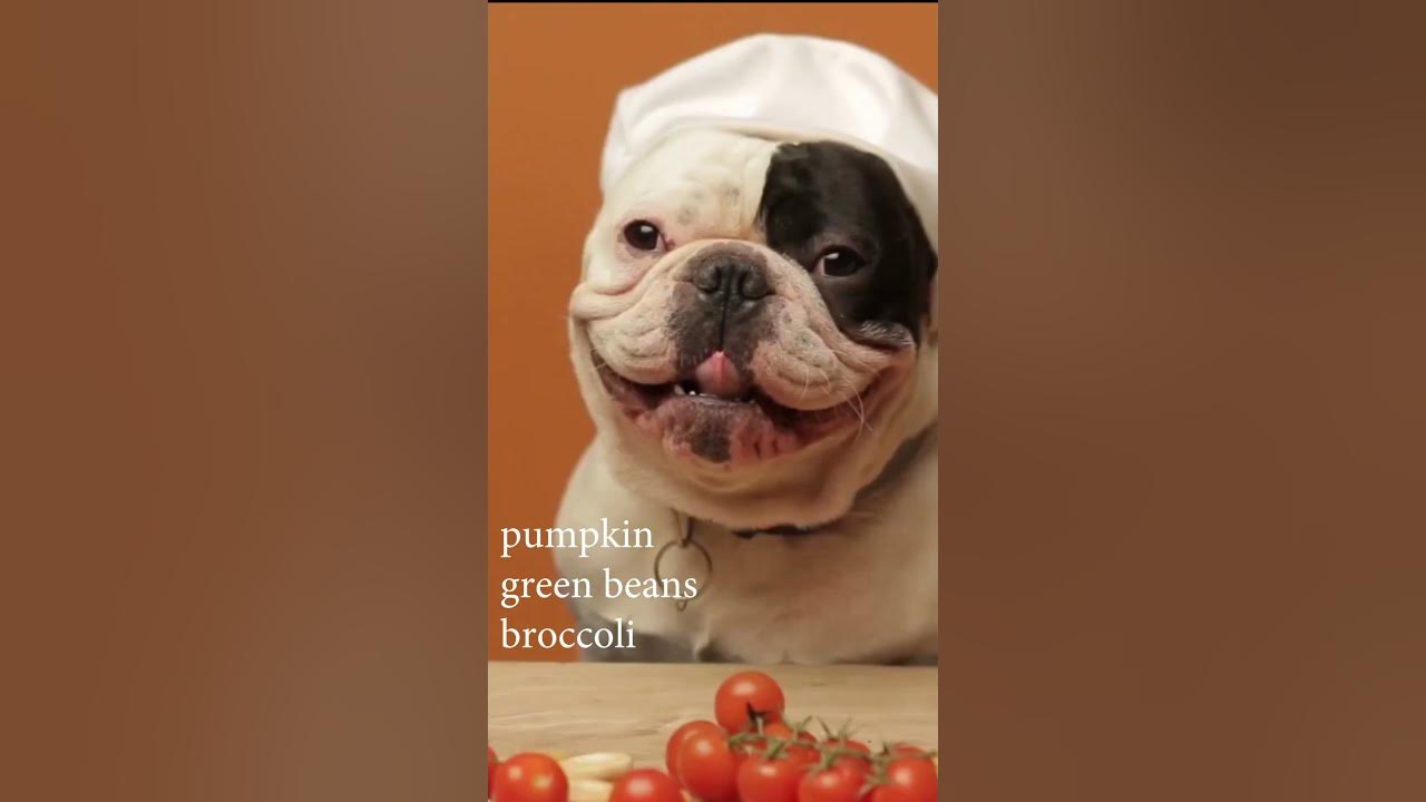 Healthy Kibble Toppers For Dogs YouTube