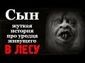 Истории на ночь: Сын