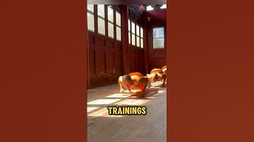 De intensieve training van Shaolin-monniken