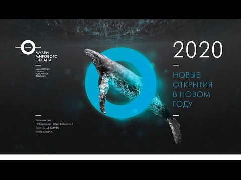 К 30-летию Музея Мирового океана