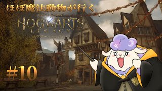 【#ホグワーツレガシー】復学！！ほぼ魔法動物が行くホグワーツレガシー# 10【迷鳴たましゃん】