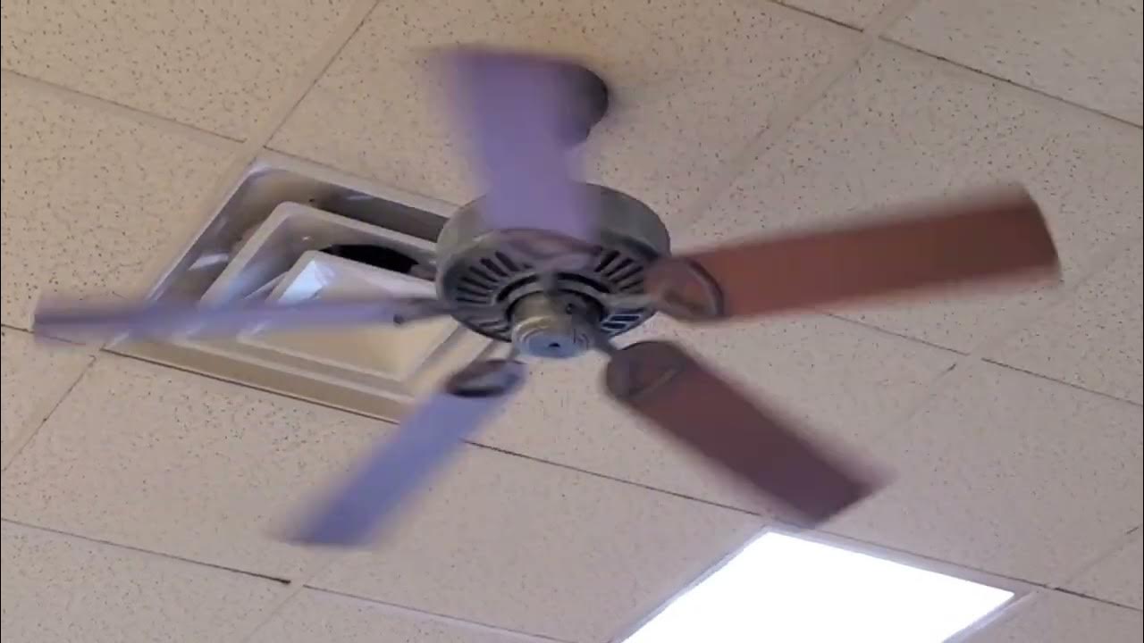 Wobbly Regency MX Excel Ceiling Fan at a Subway YouTube