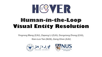 HOVER: Human-in-the-Loop Visual Entity Resolution