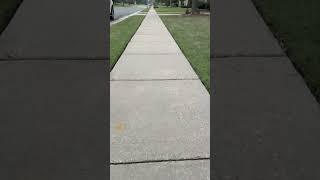 Satisfying Driveway Cleaning before/after #diy #pressurewasher  #satisfying #surfacecleaner