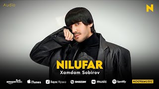 Xamdam Sobirov - Nilufar (audio 2024)