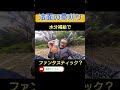 法面の草刈り