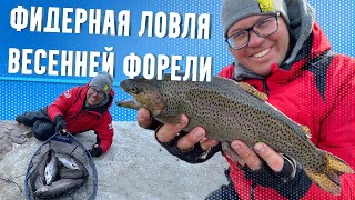 видео: ФИДЕРНАЯ ЛОВЛЯ ВЕСЕННЕЙ ФОРЕЛИ картинка: ФИДЕРНАЯ ЛОВЛЯ ВЕСЕННЕЙ ФОРЕЛИ