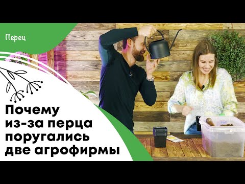 Почему из-за перца поругались две агрофирмы | Ответы на самые популярные вопросы о перцах