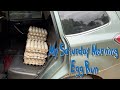 My saturday morning egg run dont break the eggs