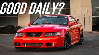 is A 9904 Mustang a GOOD DAILY?