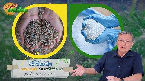 วิธีใช้แม่ปุ๋ย ผสมรวมกัน กับ แยกใส่ทีละตัว แบบไหนเหมาะสมกว่า l UNIVANICHOILPALMSEEDS