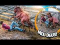 BURRO XUCRO PASSOU POR CIMA DE MIM|TÔ LASCADO|ADB