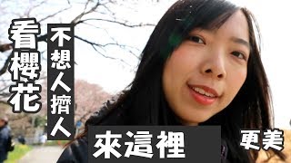 【日本東京】埼玉熊谷櫻堤大宮公園這裡看櫻花更美！Kumagaya ...