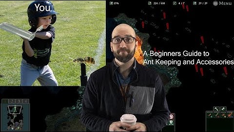 A Beginners Guide to Ant Keeping