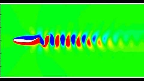 Swimming Fish: Computational Fluid Dynamics