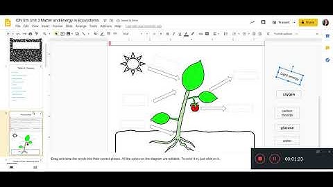 How to work in your digital notebook (2)