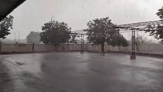 ભયંકર વાવાઝોડુ ચોટીલા | માવઠું | વરસાદ | Heavy Rain Chotila #rain #વરસાદ #માવઠું #ચોમાસુ #ચોટીલા