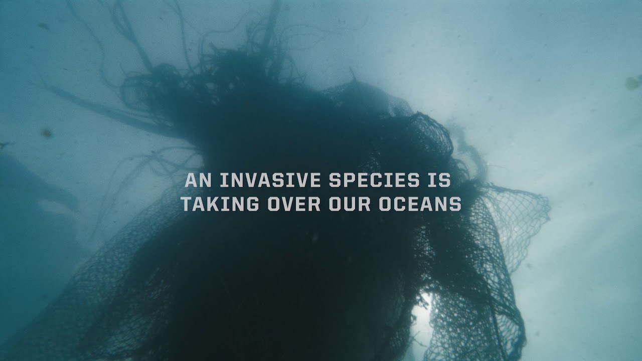 Costa Untangled 15 Social A Youtube