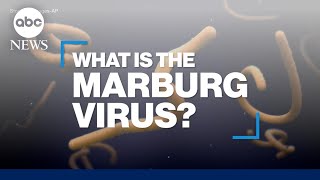 What is the Marburg virus disease?