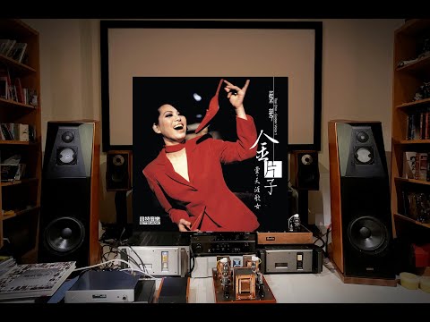 蔡琴/夜來香 /-專輯：金片子-壹/-曲目：6