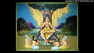 Shri Dakshinamurthisham Phenadyuthi Ragam Dikshithar Krithi Veena Sai Venkatesh