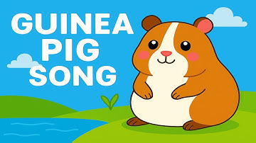Guinea Pig Song | Cute and Fun Animal Song for Toddlers and Kids