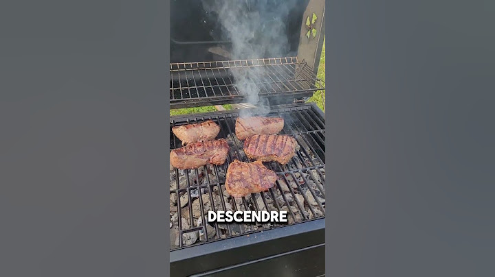 Notre nouveau barbecue de style fumoir ça a couté cher